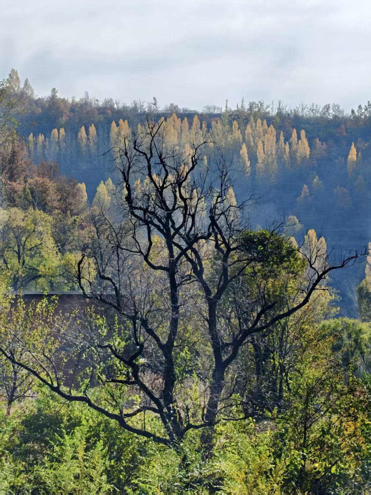 公众号人性厚黑赛道，稳定1天500-1000+，保姆级玩法